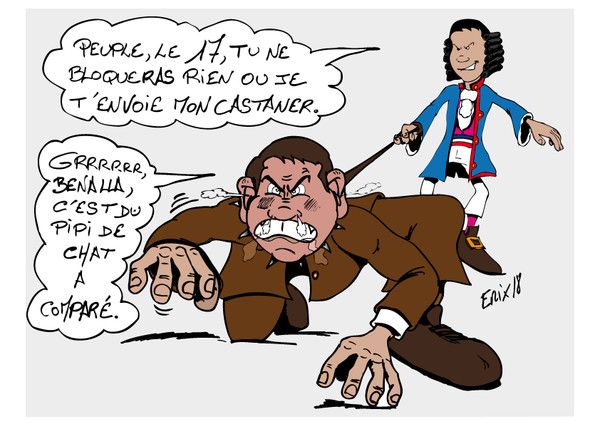 Combien De Temps Garder Un Beaujolais LE CHIEN DE GARDE